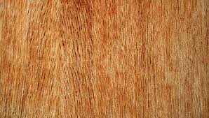 Saburi Gold Plywood BWP 710